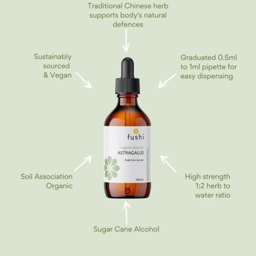 Astragalus  100ml - Image 2